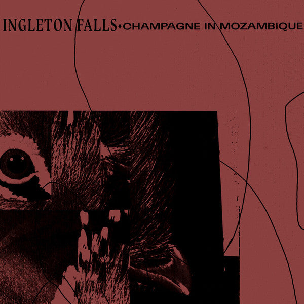 Ingleton Falls - Champagne in Mozambique (New Vinyl)