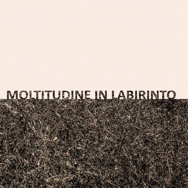 Gigi Masin & Giuseppe Caprioli - Moltitudine In Labirinto (New Vinyl)