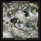Phosphorescent - Revelator (New CD)