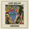 Larry Mullins - Camissonia  (New Vinyl)