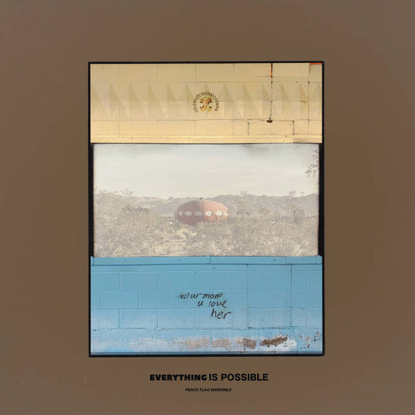 Peace Flag Ensemble -Everything Is Possible (New Vinyl)