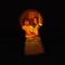 Selena Gomez & Benny Blanco - I Said I Love You First (New CD)