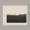 Tolerance – Divin (New Vinyl)