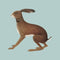 Vashti Bunyan - Lookaftering (Expanded) (New CD)