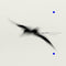 Yann Tierson - Rathlin From A Distance: The Liquid Hour (New Vinyl)
