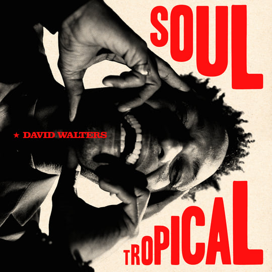 David Walters - Soul Tropical (New Vinyl)