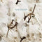 Colin-stetson-all-this-i-do-for-glory-new-vinyl