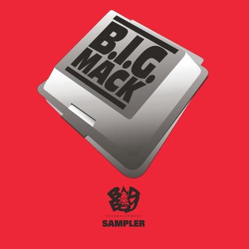 Craig-mac-the-notorious-b-i-g-b-i-g-mack-original-sampler-new-vinyl