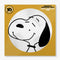 Vince-guaraldi-trio-peanuts-greatest-hits-picture-disc-new-vinyl