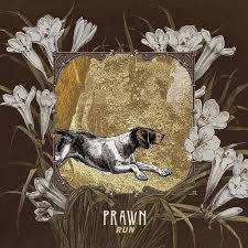 Prawn-run-new-vinyl