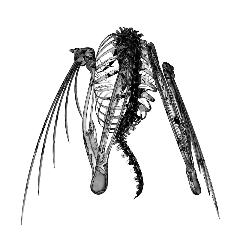 Lotic-heterocetera-new-vinyl