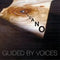 Guided-by-voices-volcano-7-in-new-vinyl