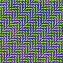 Animal Collective - Merriweather Post Pavillion (New CD)