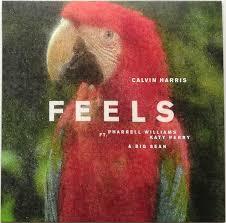 Calvin-harris-feat-pharrell-williams-feels-12-in-new-vinyl