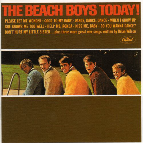 Beach-boys-today-stereo-200g-analogue-productions-new-vinyl