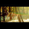 Childish-gambino-camp-new-vinyl