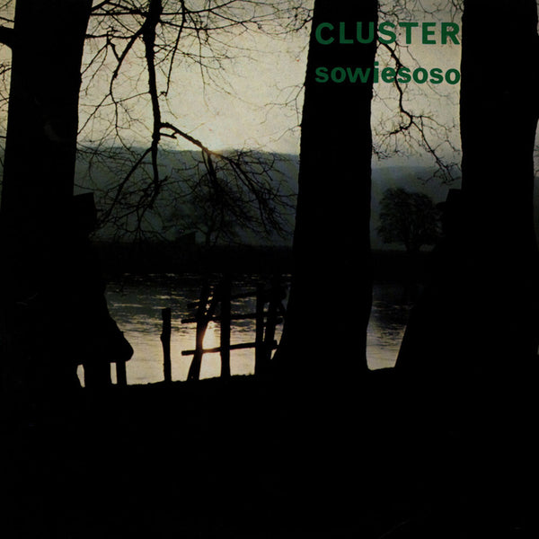 Cluster-sowiesoso-new-vinyl