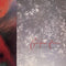 Cocteau-twins-tiny-dynamineechoes-in-a-shallow-bay-new-vinyl