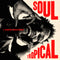David Walters - Soul Tropical (New Vinyl)