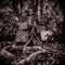 Kamasi-washington-harmony-of-difference-new-vinyl