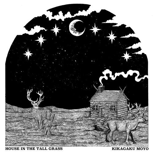 Kikagaku-moyo-house-in-the-tall-grass-new-vinyl