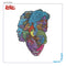 Love-forever-changes-new-vinyl