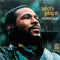 Marvin-gaye-what-s-going-on-vinyl