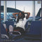 Patrick Paige II - If I Fail Are We Still Cool? (Indie Smokey Translucent) (New Vinyl)