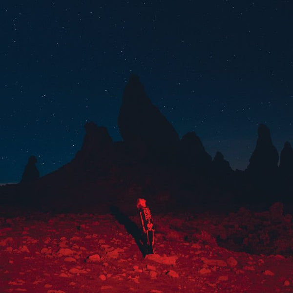 Phoebe-bridgers-punisher-new-vinyl