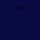 Pole - 1 (New Vinyl)