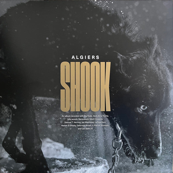 Algiers - Shook (2LP) (New Vinyl)