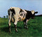 Pink Floyd - Atom Heart Mother (Remastered) (New CD)