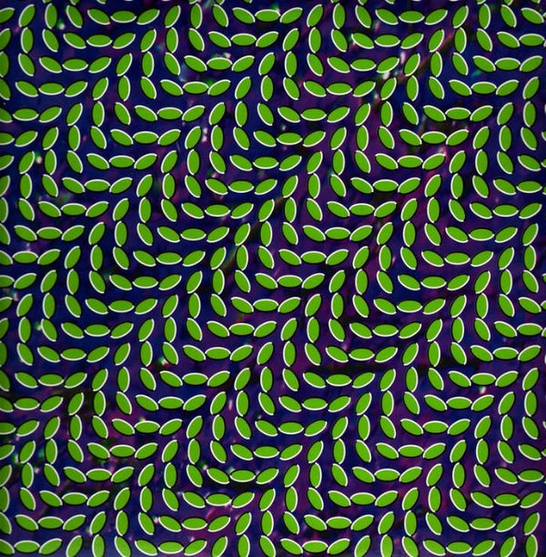 Animal-collective-merriweather-post-pavillion-new-vinyl