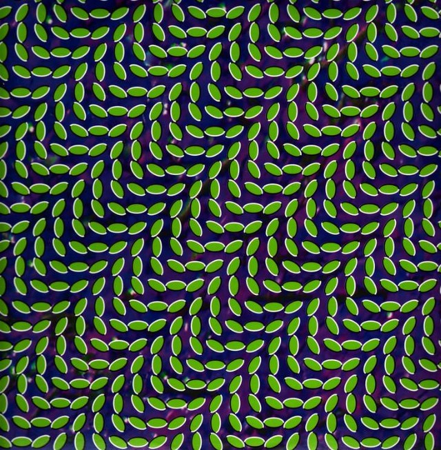 Animal-collective-merriweather-post-pavillion-new-vinyl