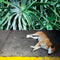 Steve Bates - All The Things That Happen (180g) (New Vinyl)