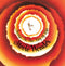 Stevie-wonder-songs-in-the-key-of-life-new-vinyl