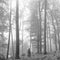 Taylor Swift - Folklore (In the Trees Edition Brown Vinyl) (2LP) (New Vinyl)