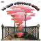 The-velvet-underground-loaded-new-vinyl