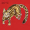Yasuaki-shimizu-kakashi-new-vinyl