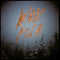 Mount Eerie - Wind's Poem (New CD)