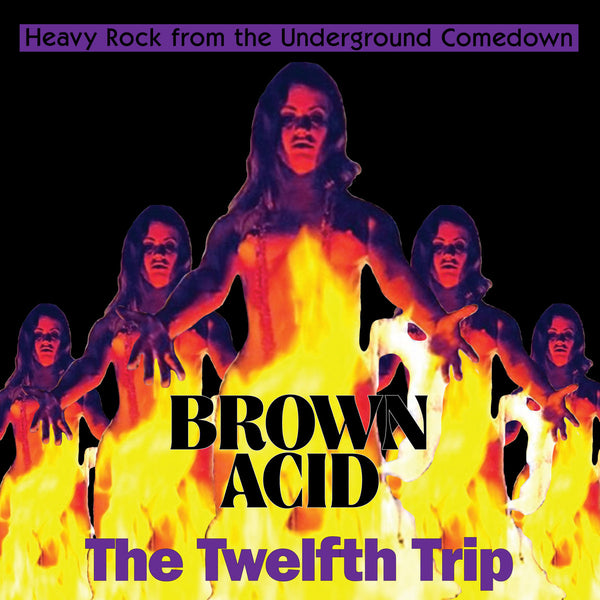 Various - Brown Acid Vol. 12 (New Vinyl)