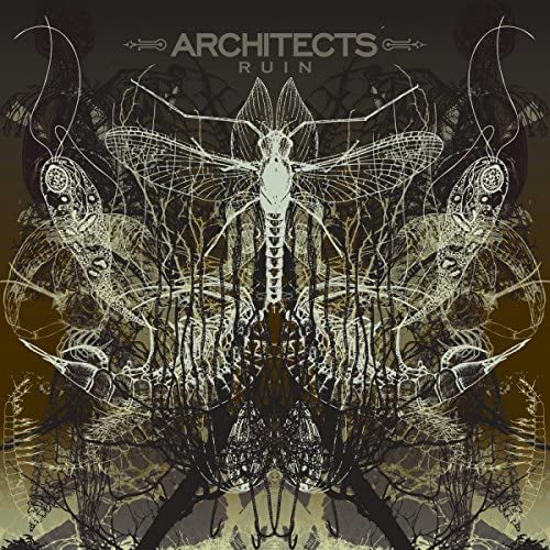 Architects - Ruin (New Vinyl)