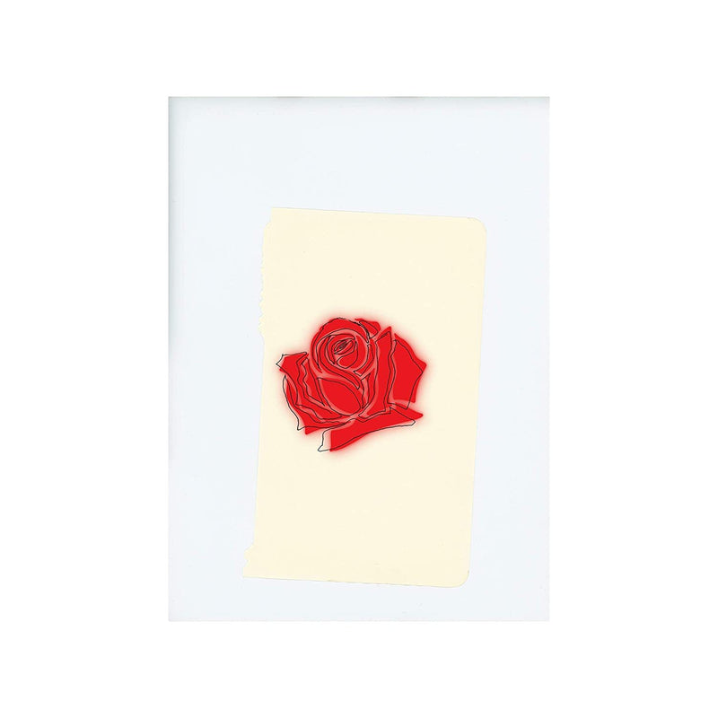 Lany-lany-2lp-new-vinyl