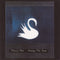 Mazzy Star - Among My Swan (New CD)